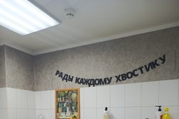 Студия груминга Елены Шуткиной, с рейтингом 3 - находится по адресу Воронеж, улица Владимира Невского, 83 