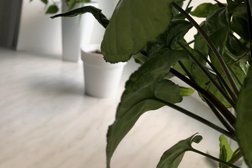 Студия массажа лица Face up, с рейтингом 1.9 - находится по адресу Самара, Садовая улица, 239 