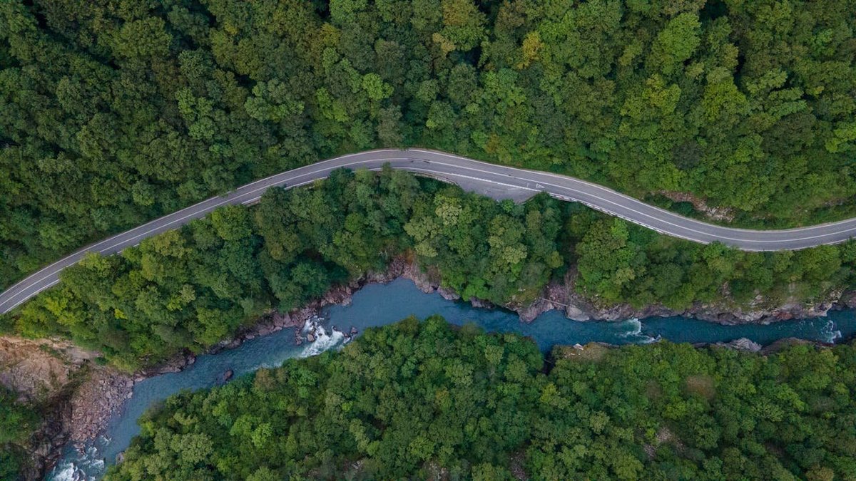Дороге сквозь густой зелёный лес, вид сверху