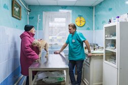 Ветеринарная клиника Эврика, с рейтингом 3.8 - находится по адресу Нижний Новгород, Даля, 14 