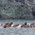 фотография UniCruises