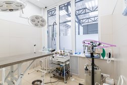 Ветклиника Четыре Лапы, с рейтингом 4 - находится по адресу Московская область, Балашиха, микрорайон Железнодорожный, Рождественская улица, 8 