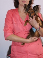 Ветеринар Айгуль Алексеевна Маршеникова