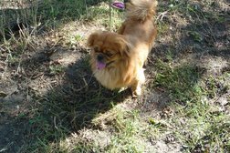 Зоомаркет и ветеринарная аптека Друг, с рейтингом 3.3 - находится по адресу Владивосток, проспект Красного Знамени, 33 