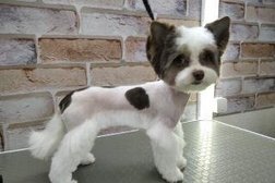 Салон стрижки собак Image Dog, с рейтингом 2.4 - находится по адресу Екатеринбург, микрорайон ЖБИ, улица 40-летия Комсомола, 32Г 
