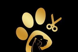 Зоосалон Заботливый грумер, с рейтингом 5 - находится по адресу Самара, Мира, 15 