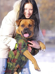 Ветеринарный врач-терапевт Светлана Александровна Мордвинова