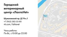 сертификат/документ Ветеринарной клиники Лахта в Приморском районе