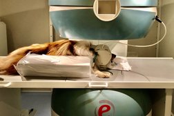 Ветеринарная клиника 9 жизней, с рейтингом 3.1 - находится по адресу Рязань, Западная улица, 4 