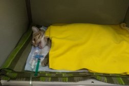Ветеринарный центр Фаун Таун, с рейтингом 4.3 - находится по адресу Московская область, Подольск, Советская улица, 29 