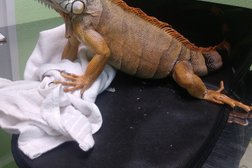 Ветеринарная клиника Добролапки, с рейтингом 3.8 - находится по адресу Республика Башкортостан, Уфа, Загира Исмагилова, 15 