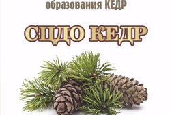 Центр дополнительного образования Кедр, с рейтингом 4.9 - находится по адресу Барнаул, Балтийская улица, 24 