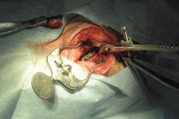 Ветеринарная аптека Ирбис, с рейтингом 2.6 - находится по адресу Кемеровская область — Кузбасс, Кемерово, проспект Ленина, 67а 