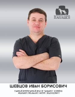 Иван Борисович Шевцов