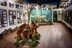 Горный отель Абаго, с рейтингом 4.7 - находится по адресу Республика Адыгея, пос. Гузерипль, Лесная улица, 49г 