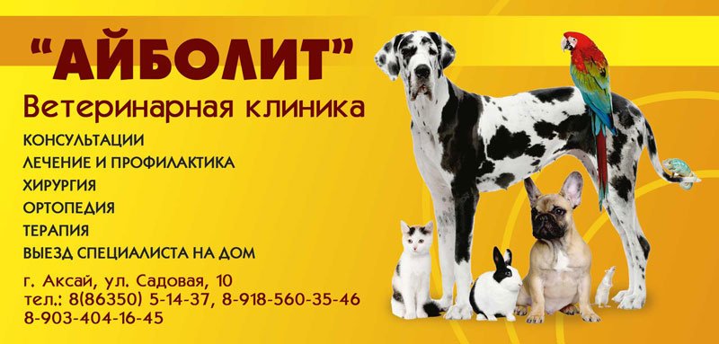 Ветеринарная клиника Айболит в Аксае - отзывы, фото, цены, телефон и ...