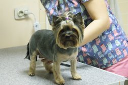 Ветеринарная клиника Ветпрофи62, с рейтингом 4.2 - находится по адресу Рязань, улица Горького, 86 