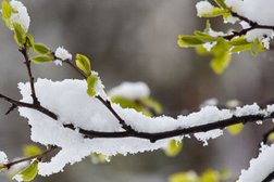 №40 Фрунзенского района
