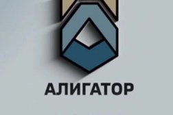 Алигатор