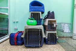 Зооветеринарный центр Байкалвет, с рейтингом 3.9 - находится по адресу Иркутск, улица Лызина, 20а 