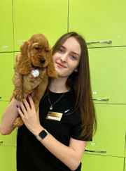 Ветеринарный врач-дерматолог, ветеринарный врач лабораторной диагностики Софико Георгиевна Пичугина