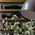 фотография STUDIOONE nail & beauty house