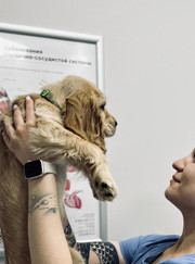 Ветеринарный врач УЗИ, ветеринар Екатерина Олеговна Филиппова