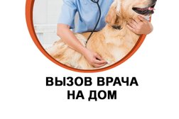 Ветеринарная клиника Рыжий лис, с рейтингом 4.7 - находится по адресу Московская область, Мытищи, Троицкая улица, 5 