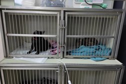 Ветеринарная клиника Гринвич, с рейтингом 3 - находится по адресу Московская область, Клин, Волоколамское шоссе, 22А 