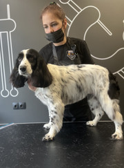 Грумер Анна Попова