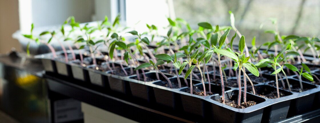 Источник фото: JoannaTkaczuk / Shutterstock