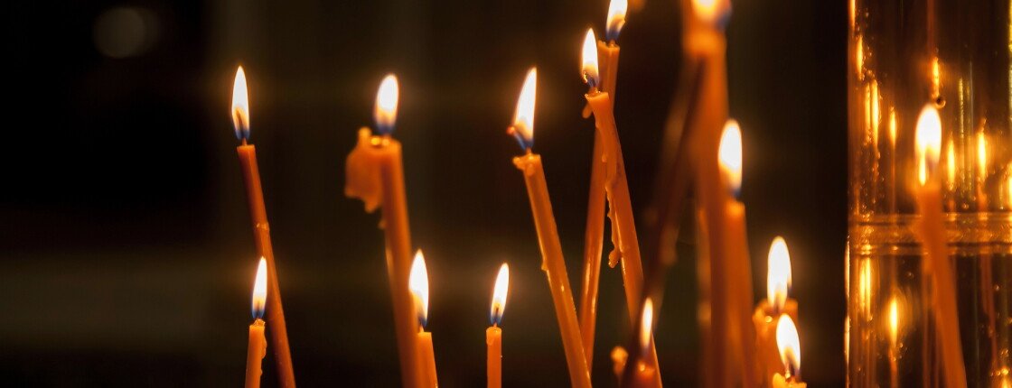 Источник фото: Alex Vog / Shutterstock