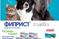 Краснодарзооветснаб, с рейтингом 3.3 - находится по адресу Ставрополь, Мира, 303 