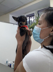 Ветеринарный хирург, ветеринарный врач-терапевт Екатерина Игоревна Концеропятова