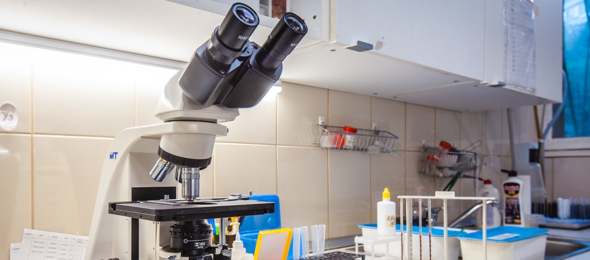 ветеринария: выездная ветеринарная служба — Ветеринарная клиника Акела ...