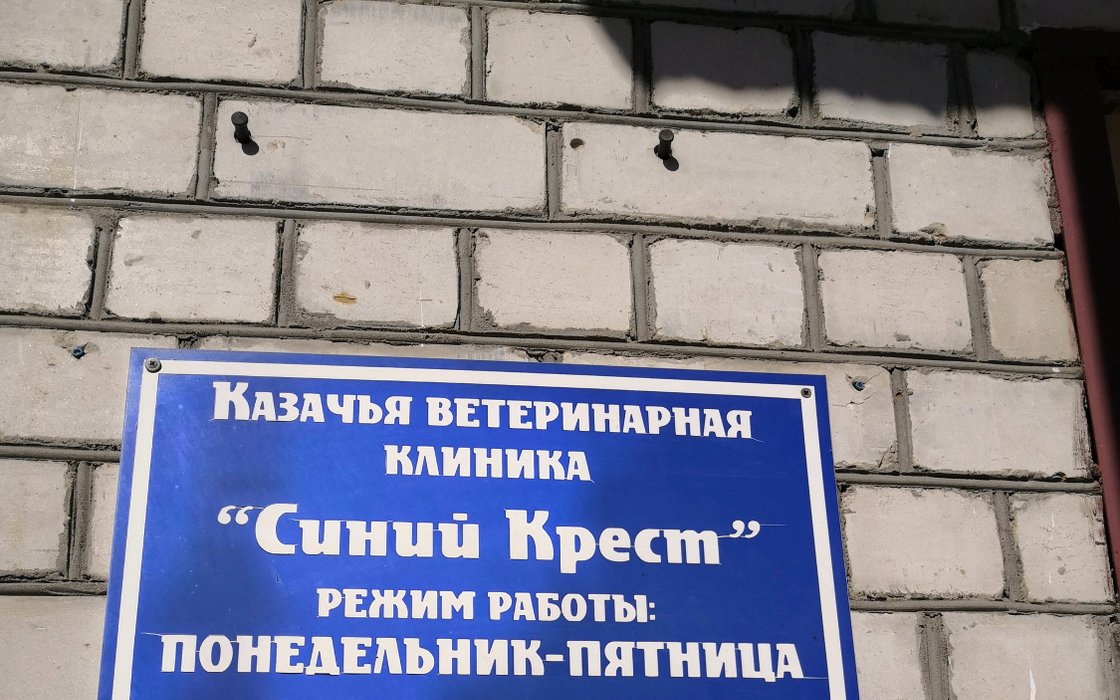 Ветклиника синяя сова петропавловск