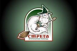 Ветеринарная клиника Стрега, с рейтингом 3 - находится по адресу Московская область, Балашиха, микрорайон Павлино, 18 