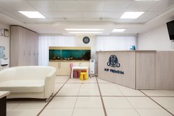 Клиника ЛОР Премиум, с рейтингом 4.9 - находится по адресу Челябинск, улица 50-летия ВЛКСМ, 14А 