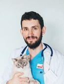 Соколов Дмитрий Валентинович