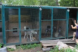 Гостиница для животных WalkService, с рейтингом 2.7 - находится по адресу Москва, 1-я Северная линия, 31с2 