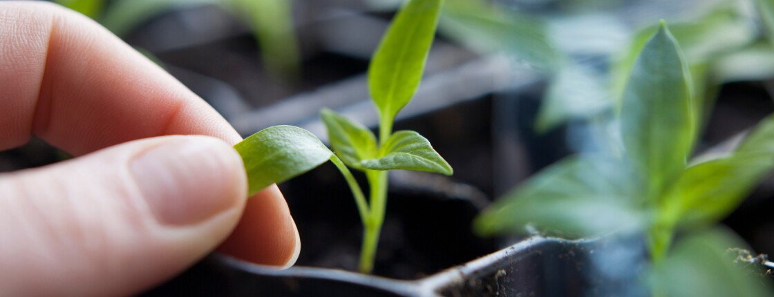 Источник фото: JoannaTkaczuk / Shutterstock