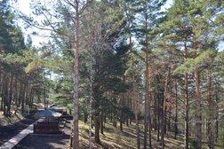 Журавель