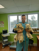 Грицкевич Вадим Александрович