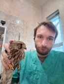 Романов Илья Владимирович