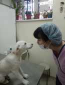 Кузьминых Оксана Андреевна