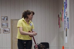 Центр по уходу за домашними животными Trio dogcenter, с рейтингом 3.4 - находится по адресу Волгоград, улица Маршала Рыбалко, 14 