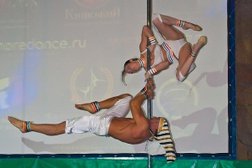 Студия танца на пилоне Pole Stage Dance Company, с рейтингом 3.6 - находится по адресу Санкт-Петербург, Казанская улица, 7а лит А 