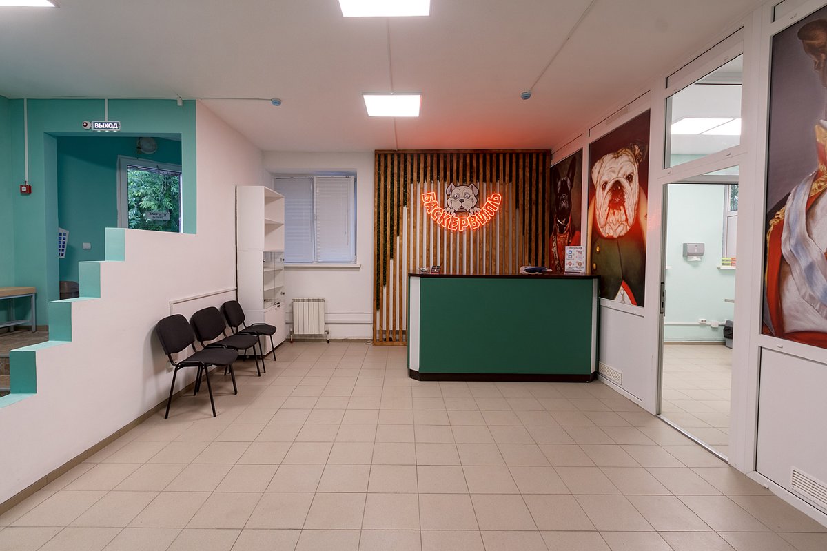 Ветклиники в наро фоминске. Баскервиль ветклиника. Баскервиль ветклиника. Подлесный курск ветклиника. Республиканская 52 д курск.