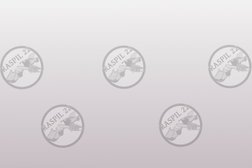 Raspil22