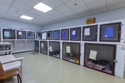 Ветеринарная клиника Акелла, с рейтингом 2.8 - находится по адресу Красноярск, улица Партизана Железняка, 9г 